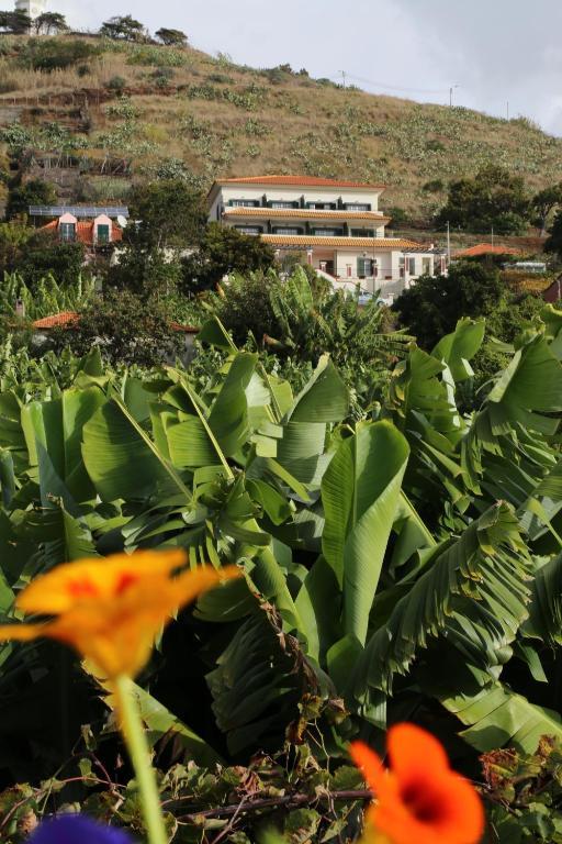 Vila Marta Funchal (Madeira) Exterior foto