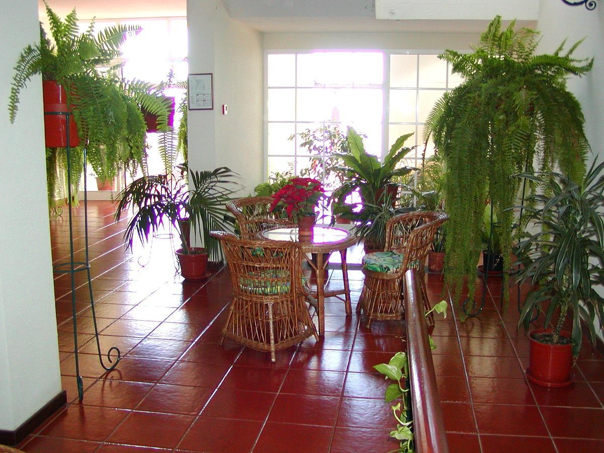 Vila Marta Funchal (Madeira) Exterior foto