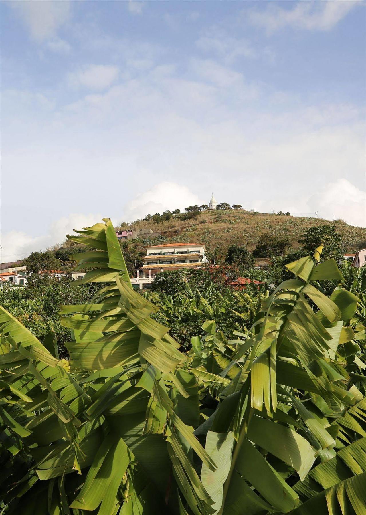 Vila Marta Funchal (Madeira) Exterior foto